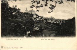 CPA AK Kronberg- Blick Auf Die Burg GERMANY (949444) - Kronberg