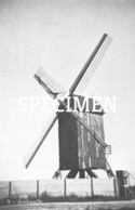 Delcampe - 9 Molen - Avekapelle - Veurne