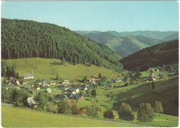 Muggenbrunn (Schwarzwald) 1000 M. ü. M. - Todtnau