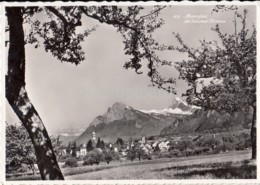 Maienfeld Die Bundner Riviera - 430 - Switzerland - Old Postcard - Unused - Maienfeld