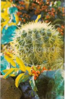 Golden Barrel Cactus - Echinocactus Grusonii - Cactus - Flowers - 1974 - Russia USSR - Unused - Cactus