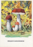 Aspen Mushroom - Mushrooms - Illustration - 1971 - Russia USSR - Unused - Mushrooms