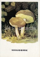 Whitey’s Bolete - Xerocomus - Mushrooms - Illustration - 1971 - Russia USSR - Unused - Paddestoelen