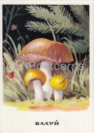 Russula Foetens - Russula Foetens - Mushrooms - Illustration - 1971 - Russia USSR - Unused - Funghi