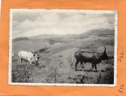 Ruanda Urundi Old Postcard - Ruanda Urundi