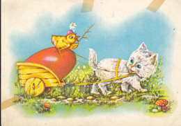 CPA PLANTS, MUSHROOMS, FLOWERS, CHICK, CAT, CART, PAINTED EGG - Pilze