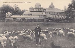 BRUXELLES. Ensemble 169 Cartes Postales, époques Divers - Autres & Non Classés