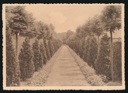 LOVENDEGEM  ZUSTERS VAN LIEFDE VAN J.M. GESTICHT BERNADETTE - WEG EN KAPEL VAN EERW.VADER TRIEST - Lovendegem