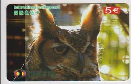 OWL - CHINA-03 - Uilen