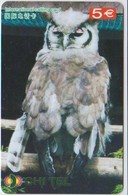 OWL - CHINA-16 - Eulenvögel