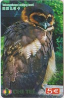 OWL - CHINA-18 - Eulenvögel