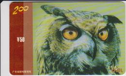 OWL - CHINA-21 - Hiboux & Chouettes