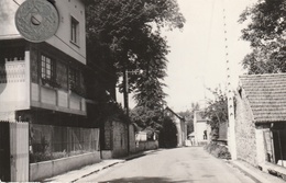 95 - Très Belle Carte Postale Semi Moderne Dentelée De  VALMONDOIS    La Naze - Valmondois