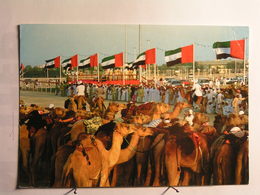 Emirats Arabes Unis - Folklore National - Emirats Arabes Unis