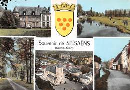 76 .n° 21485 . Saint Saens . Souvenir .vue D Ensemble .cpsm.10.5 X 15cm . - Saint Saens