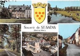 76 .n° 21489 . Saint Saens . Souvenir . Vue D Ensemble .cpsm.10.5 X 15cm . - Saint Saens