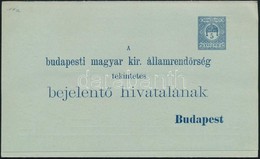 1910 Díjjegyes Rendőrségi Bejelentőlap, Használatlan, Vízjeles (12.000) - Other & Unclassified