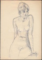 Endrő Margit (1899-1986): Támaszkodó Női Akt 1966. Toll, Papír, Jelzett, 29×21 Cm - Otros & Sin Clasificación