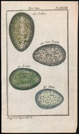 Cca 1780-1790 Holló Tojások, Színezett  Rézmetszet, Papír, In: Buffon, Georges Louis Le Clerc De: Naturgeschichte Der Vö - Stiche & Gravuren