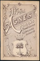 Cca 1900 Mohai Ágnes Forrás Természetes Színsavas ásványvíz. IV. évf. 1. Sz. Bp., én., Hornyánszky Viktor-ny., 16 P. Pap - Non Classés