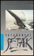 Tatabányai Séták. Szerk.: Fűrészné Molnár Anikó. Tatabánya, 1991., Tatabányai Megyei Jogú Város Polgármesteri Hivatala.  - Ohne Zuordnung