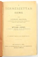 Stewart Balfour: A Természettan Elemei. Ford.: Müller József. Fametszetű Illusztrációkkal. Bp., 1875, Eggenberger, VII+3 - Ohne Zuordnung