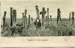 ARGENTINE CARTE POSTALE -CEMENTERIO DE INDIOS PATAGONES DEPART ROSARIO ZU 15 11 POUR LA FRANCE - Lettres & Documents