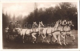 * T2 1930 Bábolna, M. Kir. állami Ménes, Arab ötösfogat, Hajtotta Pettkó Szandtner Tibor. Foto Waltner Berta - Unclassified