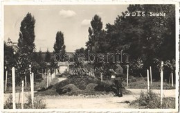 T2/T3 1942 Dés, Dej; Sétatér, Honvéd Katona / Park, Hungarian Soldier (EK) - Ohne Zuordnung