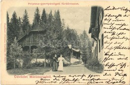 T2 1901 Gyertyánliget, Polyana-Gyertyánliget, Kabola Polyána, Kobyletska Poliana (Máramaros, Maramures); Fürdő / Spa - Zonder Classificatie