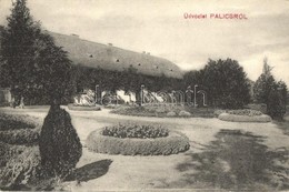 T2/T3 Palics, Palic; Fürdő. Lipsitz Kiadása / Spa (EK) - Non Classés