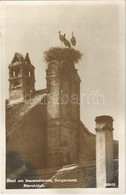 T2/T3 1931 Ruszt, Rust Am Neusiedlersee; Storchidyll / Gólyafészek / Stork Nest (EK) - Non Classés