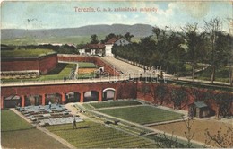 T2/T3 1915 Terezín, Theresienstadt; C. A. K. Zelinárské Zahrady / Vegetable Gardens (EK) - Sonstige & Ohne Zuordnung