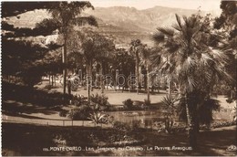 ** T1/T2 Monte-Carlo, Les Jardins Du Casino, La Petite Afrique / Gardens Of The Casino, 'Little Africa', Photo - Autres & Non Classés