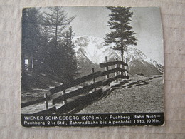 WIENER SCHNEEBERG ( 2076 M ) / Picture, Clip From A Cigarette Box ( 25 STÜCK IBIS Zigaretten ) - Altri & Non Classificati
