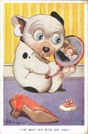 T2/T3 1929 I've Got My Eye On You! Valentine's Bonzo Series 1203. S: G.E. Studdy (EK) - Unclassified