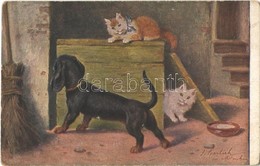 T2/T3 1917 Cats With Dog, Artist Signed  (worn Corners) - Unclassified