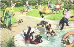 ** T2 Cats Playing In The Park. Colorprint B Special 2258/5. - Non Classés