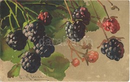 T2/T3 Fruits. G.O.M. 1672. Litho S: C. Klein  (EK) - Unclassified