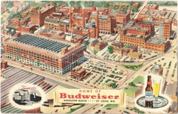 ** T2 Home Of Budweiser. Anheuser-Busch St. Louis, Mo./ American Beer Advertisement - Unclassified