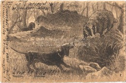 T2 1903 Das! Das!! / Hunting With Dachshunds, Dogs, Hand-drawn Graphic - Non Classés