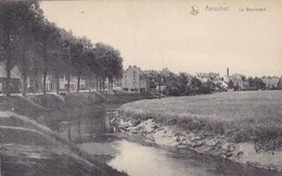 Aarschot, Aerschot, Le Boulevard (pk66622) - Aarschot