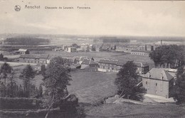 Aarschot, Aerschot, Panorama, Chaussée De Louvain (pk66624) - Aarschot