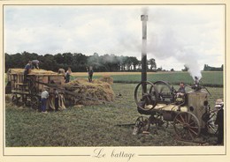 Les Métiers D'antan - Le Battage - Marchais-Béton (89) - Battoir - Locomobile Varennes-Changy - Agriculture - Moisson - Culture