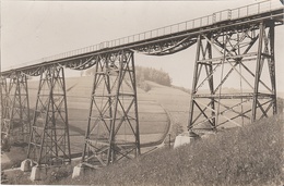 Foto Rohling AK Markersbach Eisenbahn Zug Brücke Viadukt Mittweida A Raschau Scheibenberg Schwarzenberg Vogel Erzgebirge - Schwarzenberg (Erzgeb.)