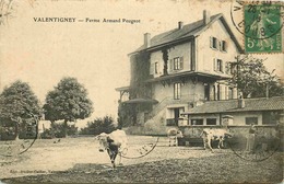 DOUBS  VALENTIGNEY   Ferme Armand Peugeot - Valentigney