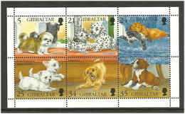 Gibraltar 1996 Dogs, Puppies, Shih Tzu, Dalmantion, Cocker Spaniel, White Terrier, Labrador, Boxer , Mi 749-754 Ms, MNH - Gibraltar