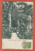 MARTINIQUE CARTE POSTALE AFFRANCHIE DE 1902 DE FORT DE FRANCE POUR PARAMARIBO SURINAM - Cartas & Documentos