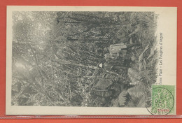 REUNION CARTE POSTALE AFFRANCHIE DE 1903 DE SAINT DENIS POUR PARIS FRANCE - Storia Postale
