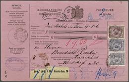 NL 1891 Princess Wilhelmina - Other & Unclassified